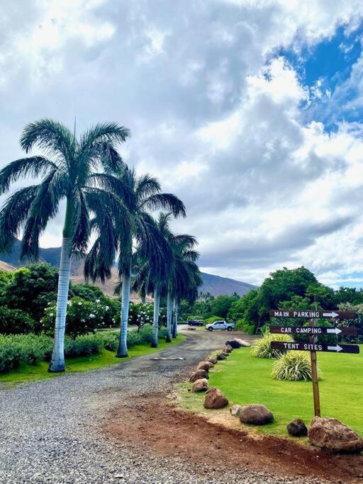 Campervan/Maui Hosted By Go Camp Maui Kihei Bagian luar foto