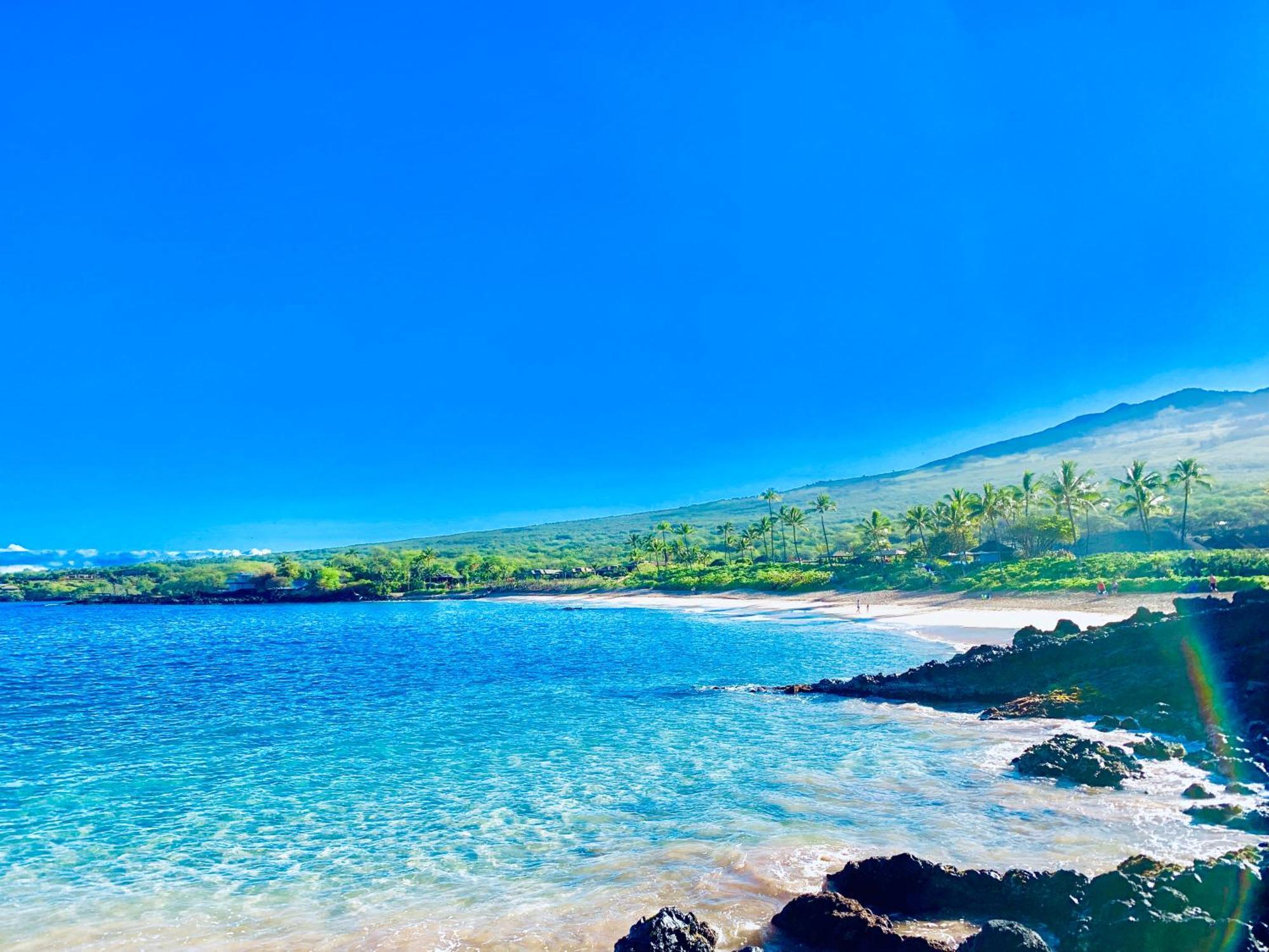 Campervan/Maui Hosted By Go Camp Maui Kihei Bagian luar foto